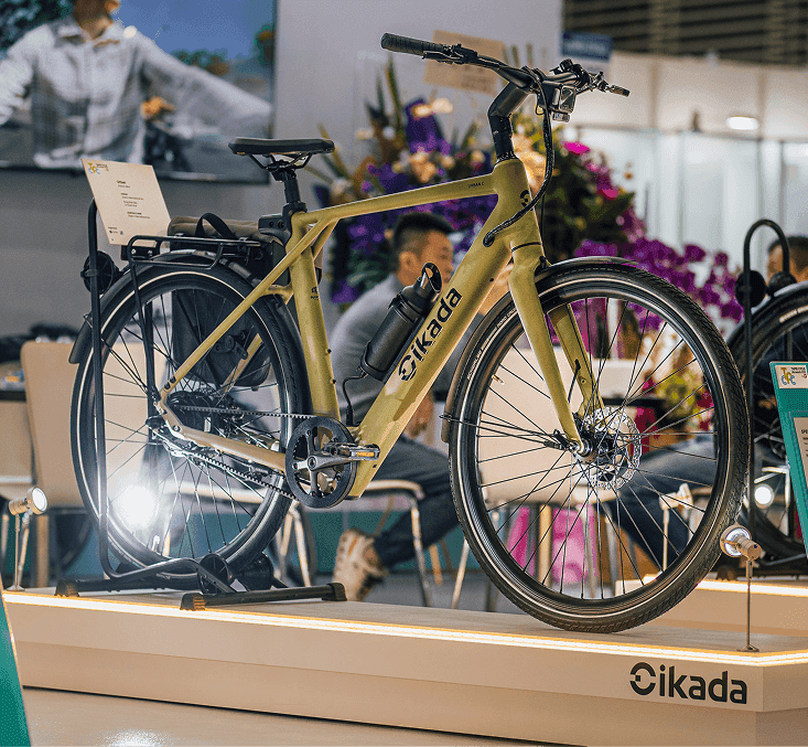 Cikada4
