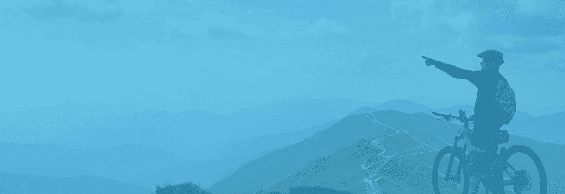 https://strapi.dev.datalake-tech.comnull