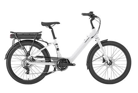 Electric Step-Through Bike